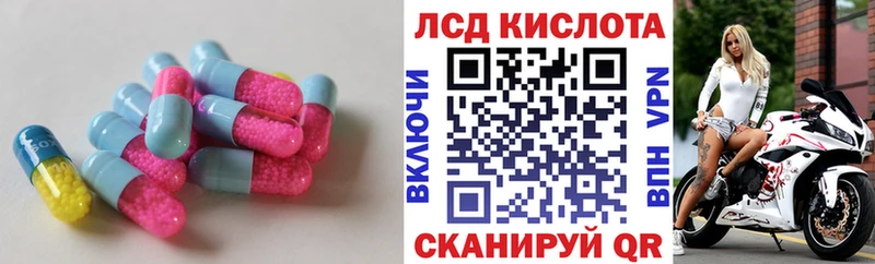 KRAKEN ссылка  Медногорск  Лсд 25 экстази ecstasy 