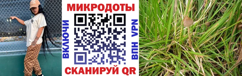 продажа наркотиков  Медногорск  Псилоцибиновые грибы мухоморы 
